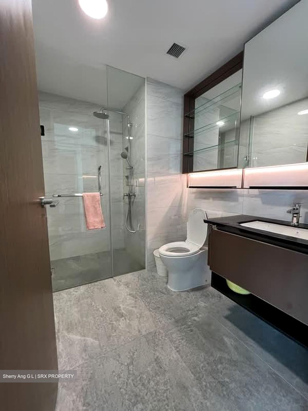 Normanton Park (D5), Apartment #604329151